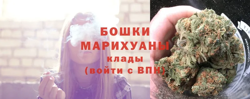 где купить   Безенчук  Бошки марихуана OG Kush 